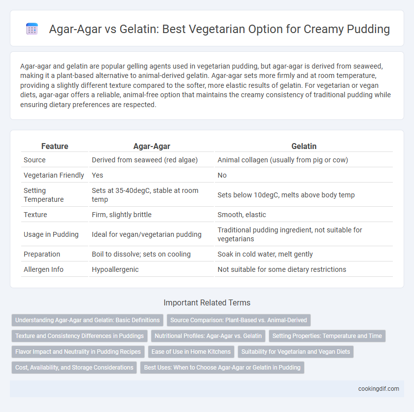 Agar-Agar vs Gelatin: Best Vegetarian Option for Creamy Pudding