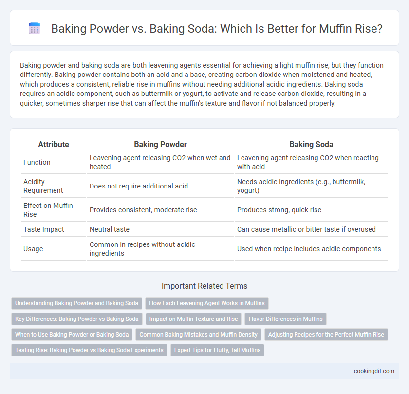 Baking Powder vs. Baking Soda: Which Is Better for Muffin Rise?