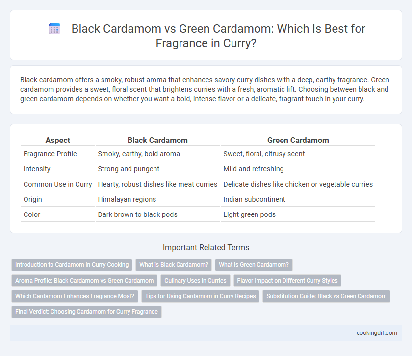Black Cardamom vs Green Cardamom: Which Is Best for Fragrance in Curry?