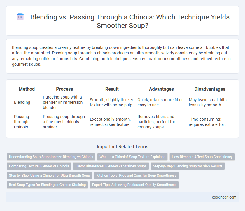 Blending vs. Passing Through a Chinois: Which Technique Yields Smoother Soup?