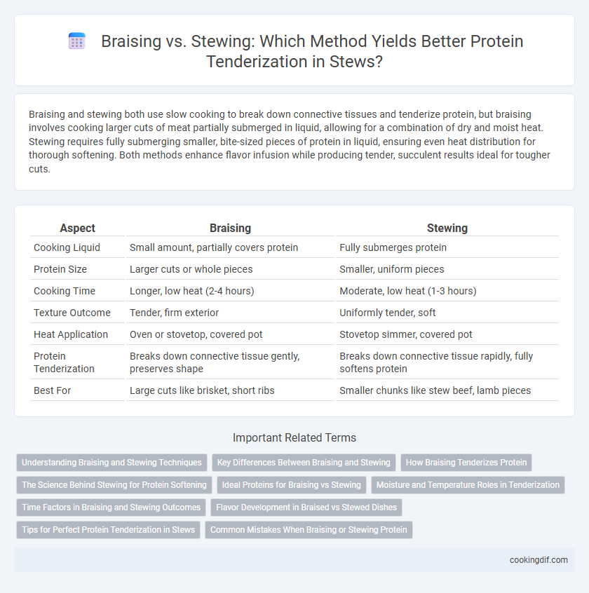 Braising vs. Stewing: Which Method Yields Better Protein Tenderization in Stews?