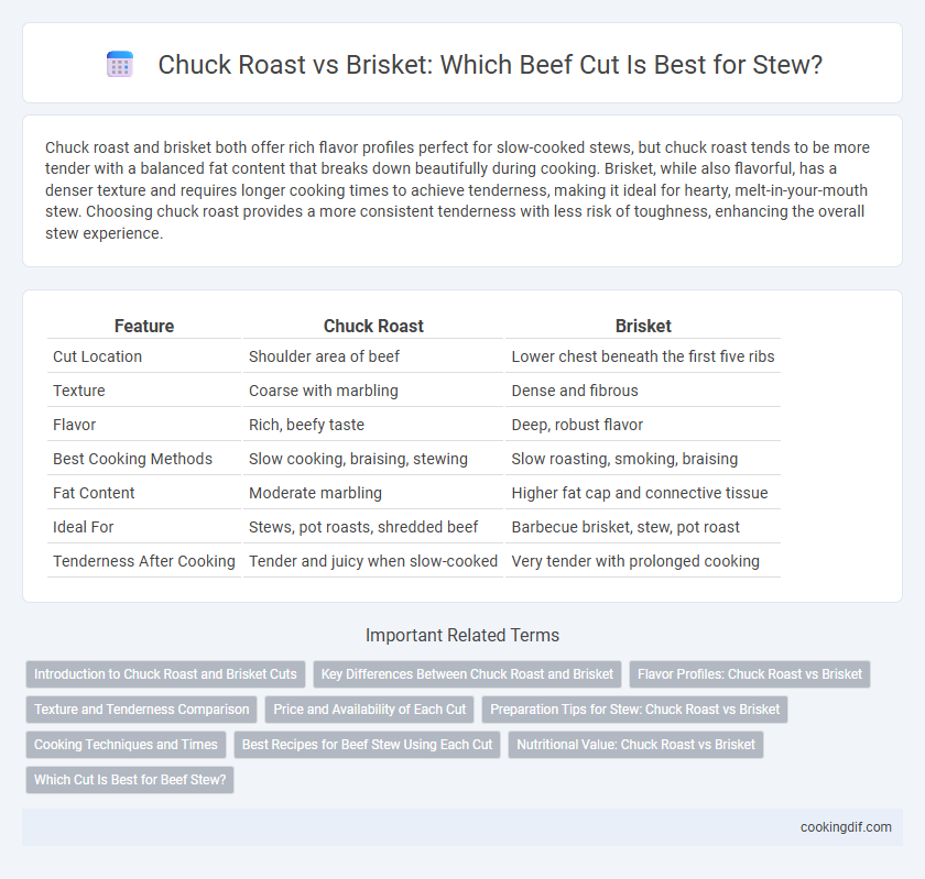 Chuck Roast vs Brisket: Which Beef Cut Is Best for Stew?