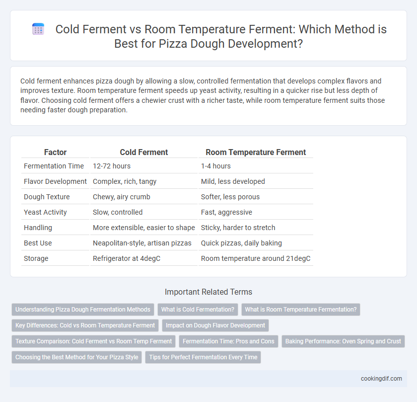 Cold Ferment vs Room Temperature Ferment: Which Method is Best for Pizza Dough Development?