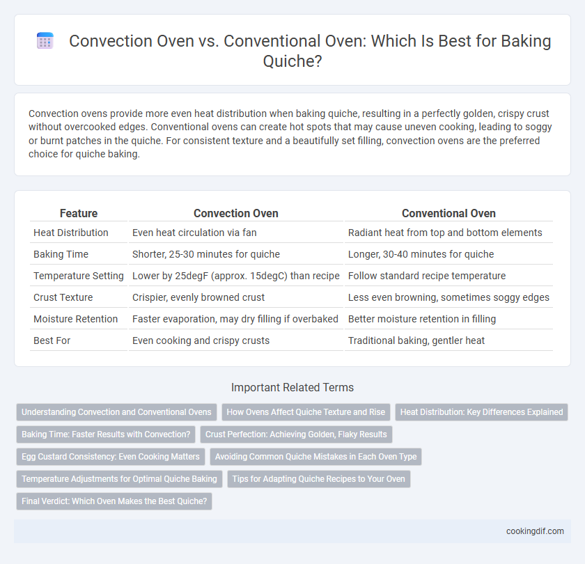 Convection Oven vs. Conventional Oven: Which Is Best for Baking Quiche?