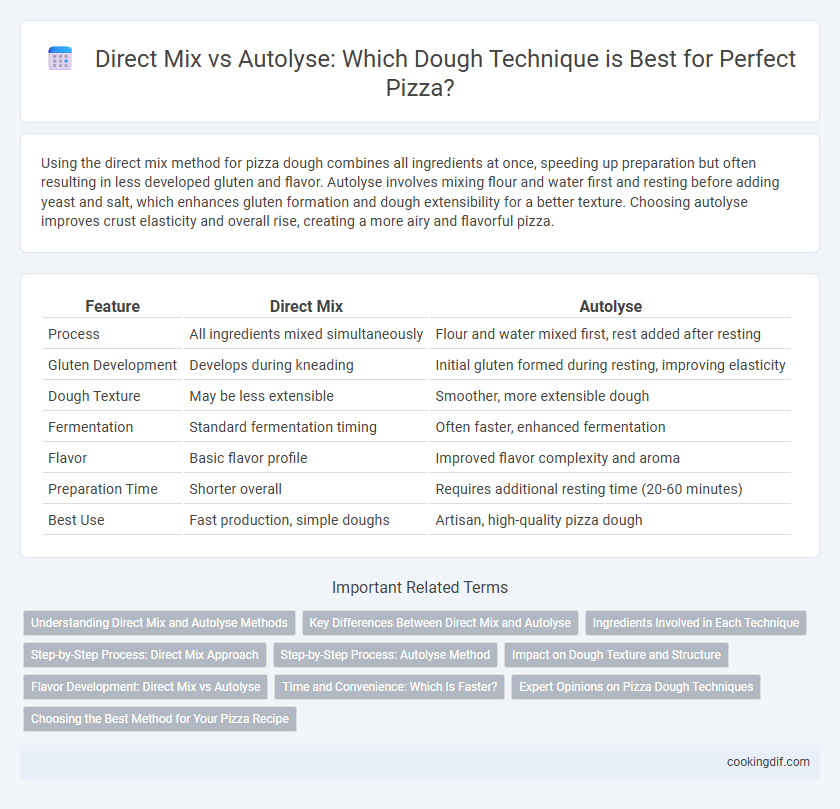 Direct Mix vs Autolyse: Which Dough Technique is Best for Perfect Pizza?