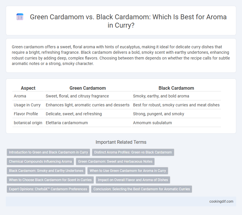 Green Cardamom vs. Black Cardamom: Which Is Best for Aroma in Curry?