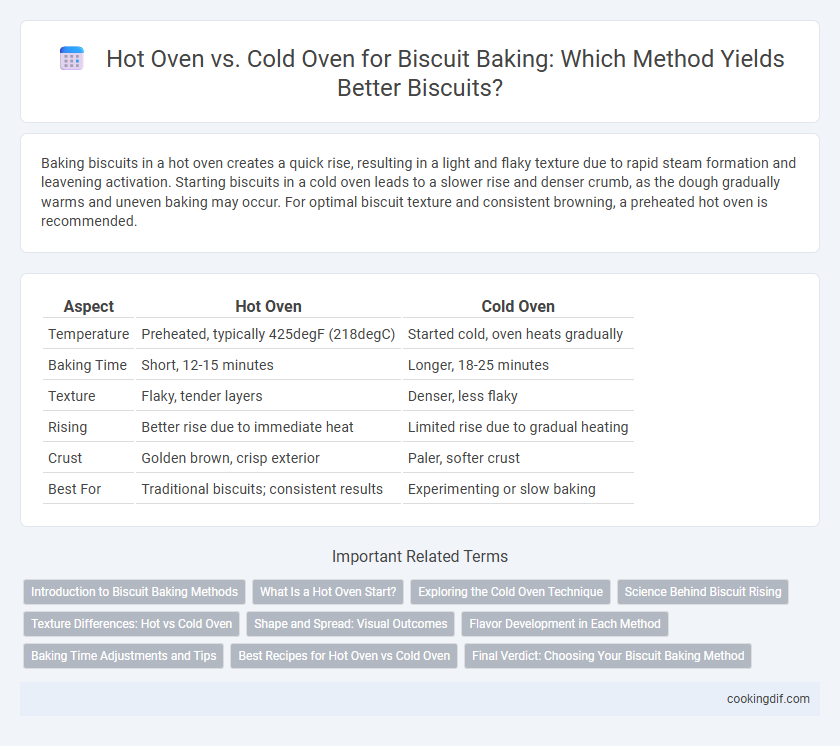Hot Oven vs. Cold Oven for Biscuit Baking: Which Method Yields Better Biscuits?