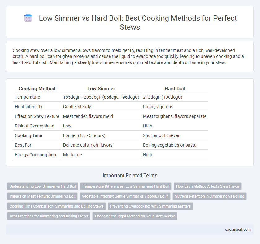 Low Simmer vs Hard Boil: Best Cooking Methods for Perfect Stews