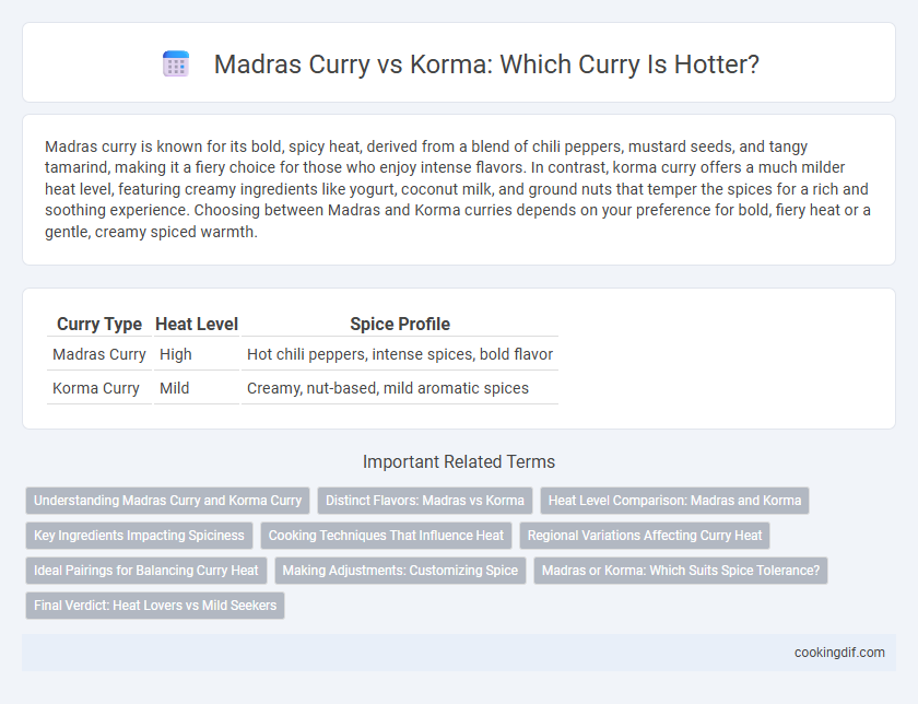 Madras Curry vs Korma: Which Curry Is Hotter?