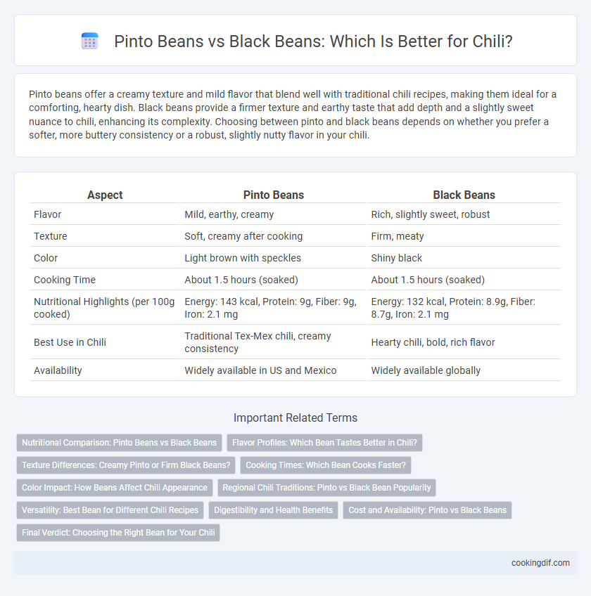 Pinto Beans vs Black Beans: Which Is Better for Chili?