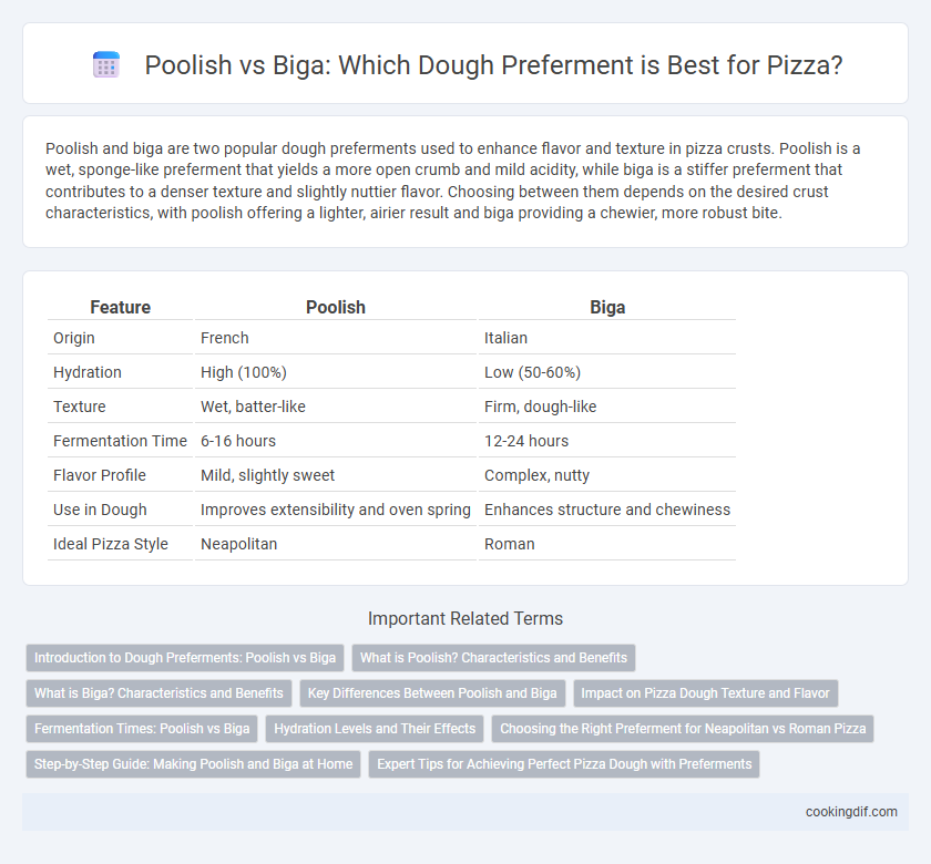 Poolish vs Biga: Which Dough Preferment is Best for Pizza?