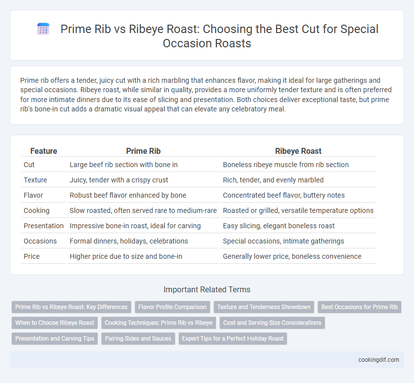 Prime Rib vs Ribeye Roast: Choosing the Best Cut for Special Occasion Roasts