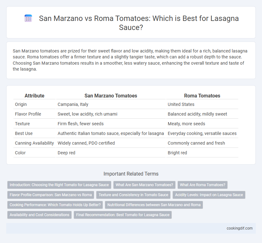 San Marzano vs Roma Tomatoes: Which is Best for Lasagna Sauce?