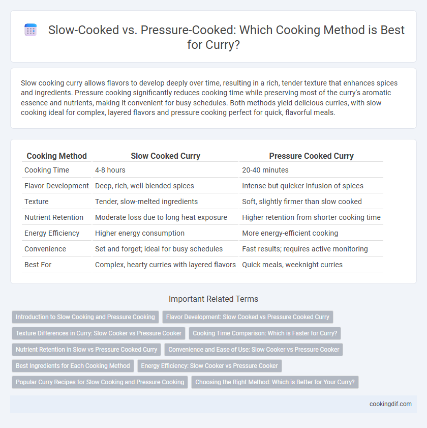 Slow-Cooked vs. Pressure-Cooked: Which Cooking Method is Best for Curry?