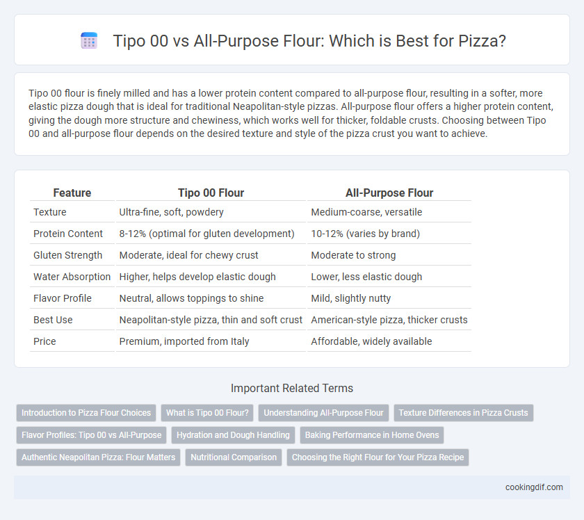 Tipo 00 vs All-Purpose Flour: Which is Best for Pizza?