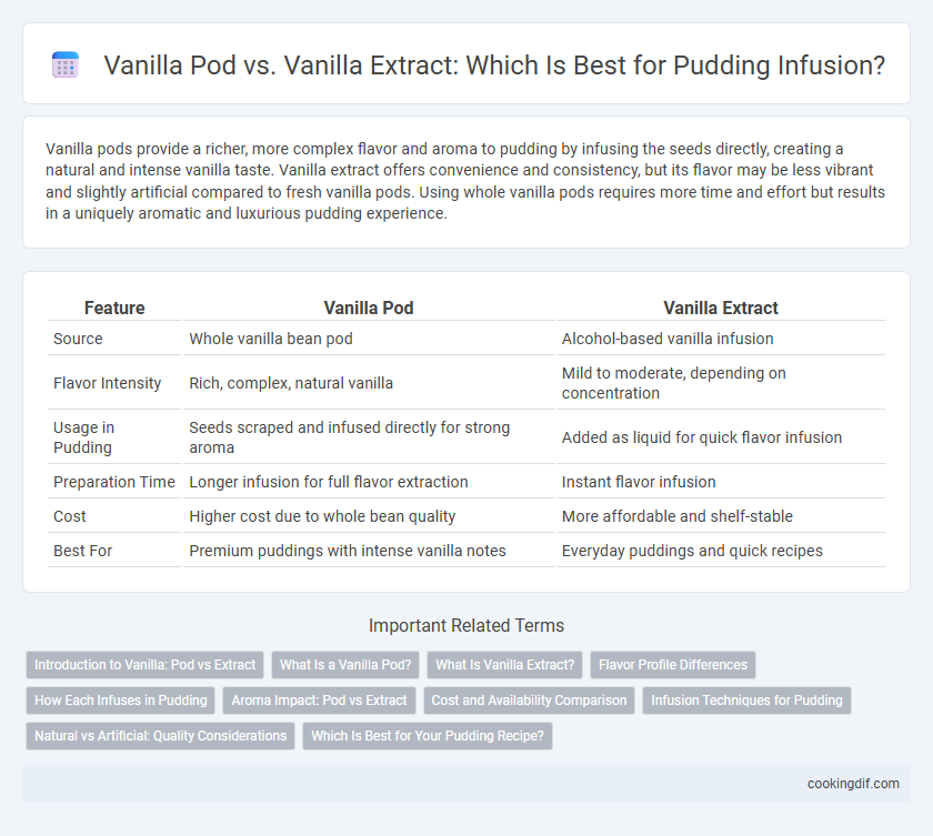 Vanilla Pod vs. Vanilla Extract: Which Is Best for Pudding Infusion?