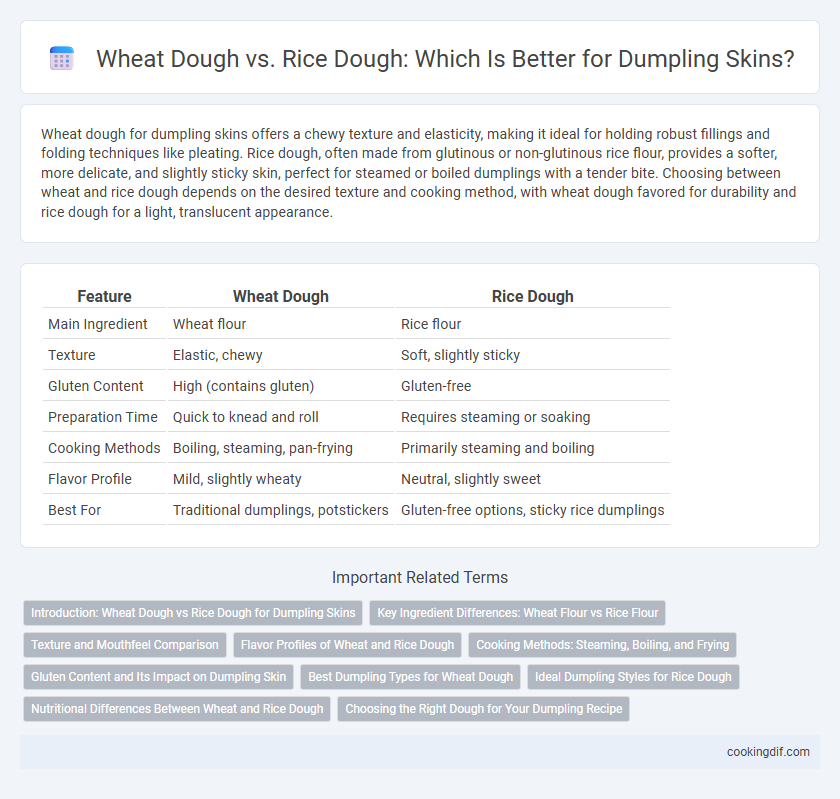 Wheat Dough vs. Rice Dough: Which Is Better for Dumpling Skins?