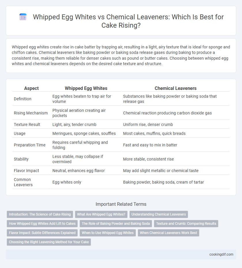 Whipped Egg Whites vs Chemical Leaveners: Which Is Best for Cake Rising?