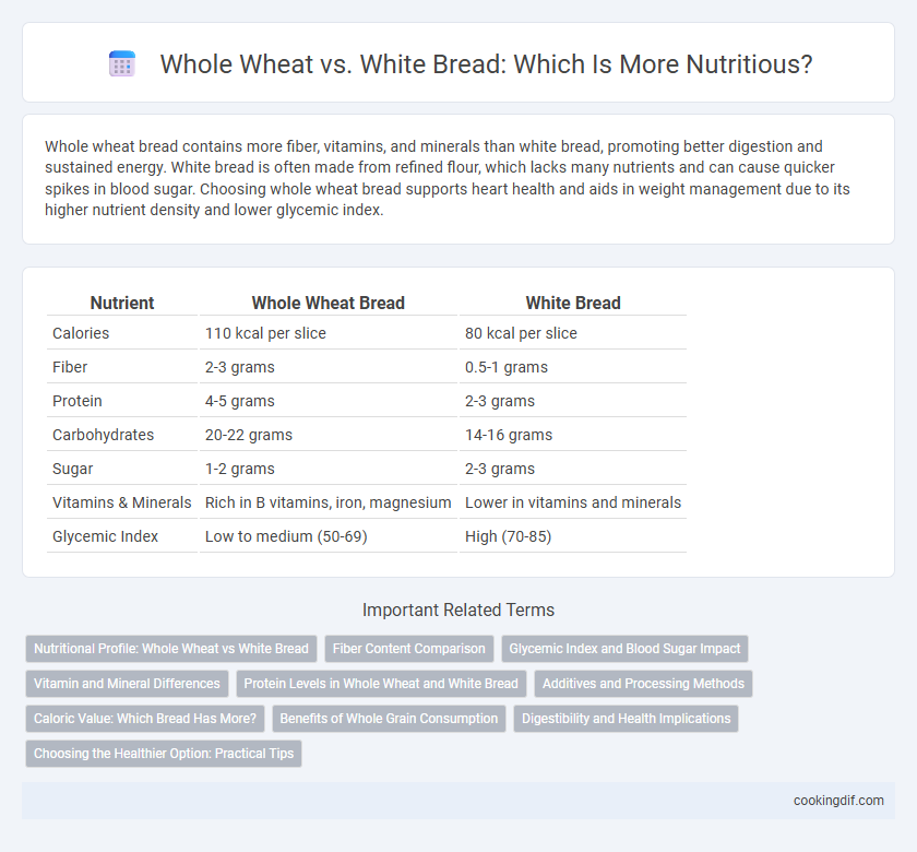 Whole Wheat vs. White Bread: Which Is More Nutritious?