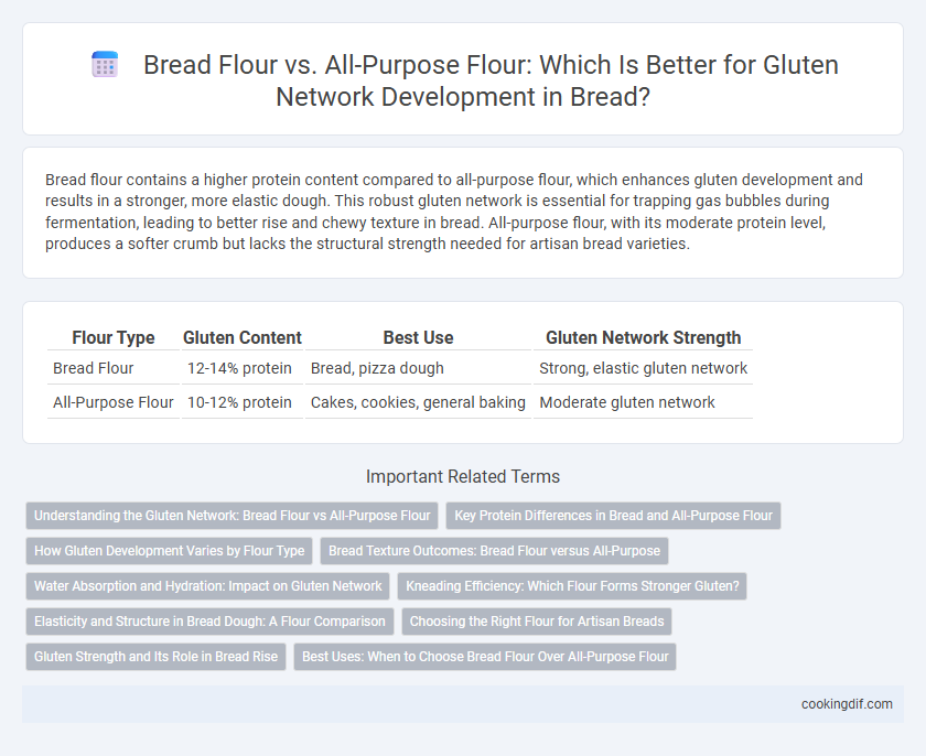 Bread Flour vs. All-Purpose Flour: Which Is Better for Gluten Network Development in Bread?