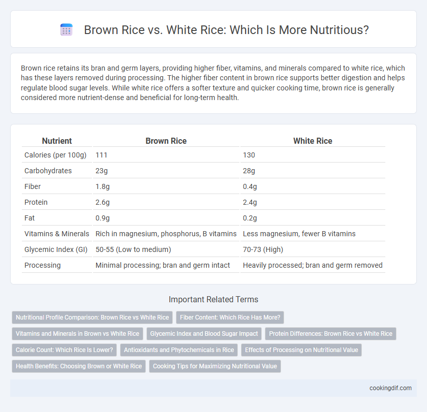 Brown Rice vs. White Rice: Which Is More Nutritious?