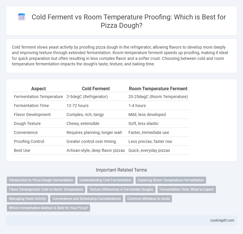 Cold Ferment vs Room Temperature Proofing: Which is Best for Pizza Dough?