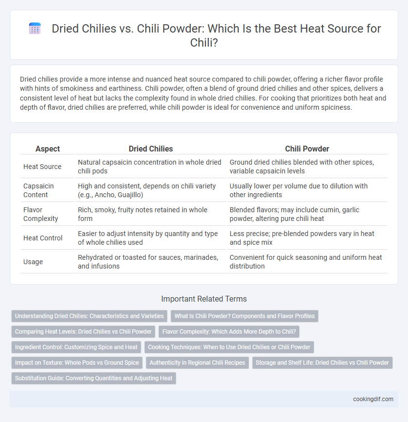 Dried Chilies vs. Chili Powder: Which Is the Best Heat Source for Chili?