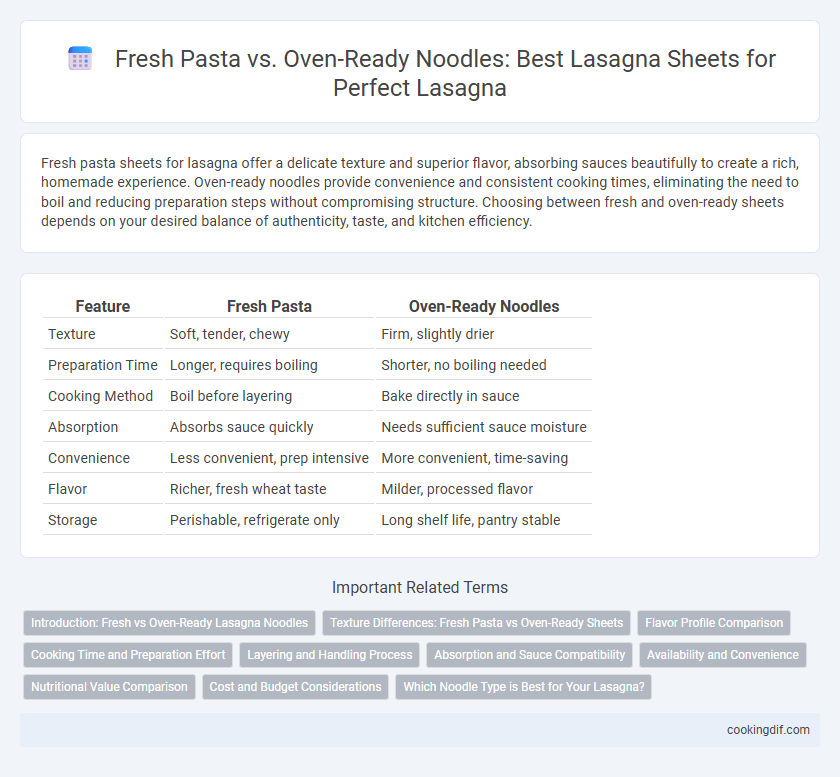 Fresh Pasta vs. Oven-Ready Noodles: Best Lasagna Sheets for Perfect Lasagna