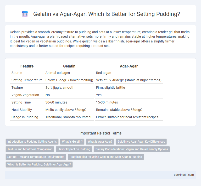Gelatin vs Agar-Agar: Which Is Better for Setting Pudding?