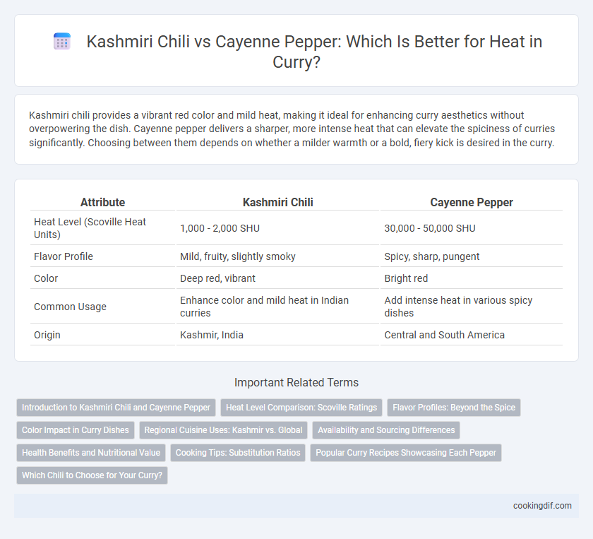 Kashmiri Chili vs Cayenne Pepper: Which Is Better for Heat in Curry?