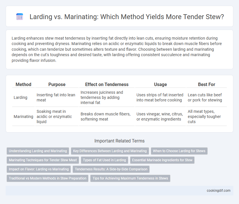 Larding vs. Marinating: Which Method Yields More Tender Stew?
