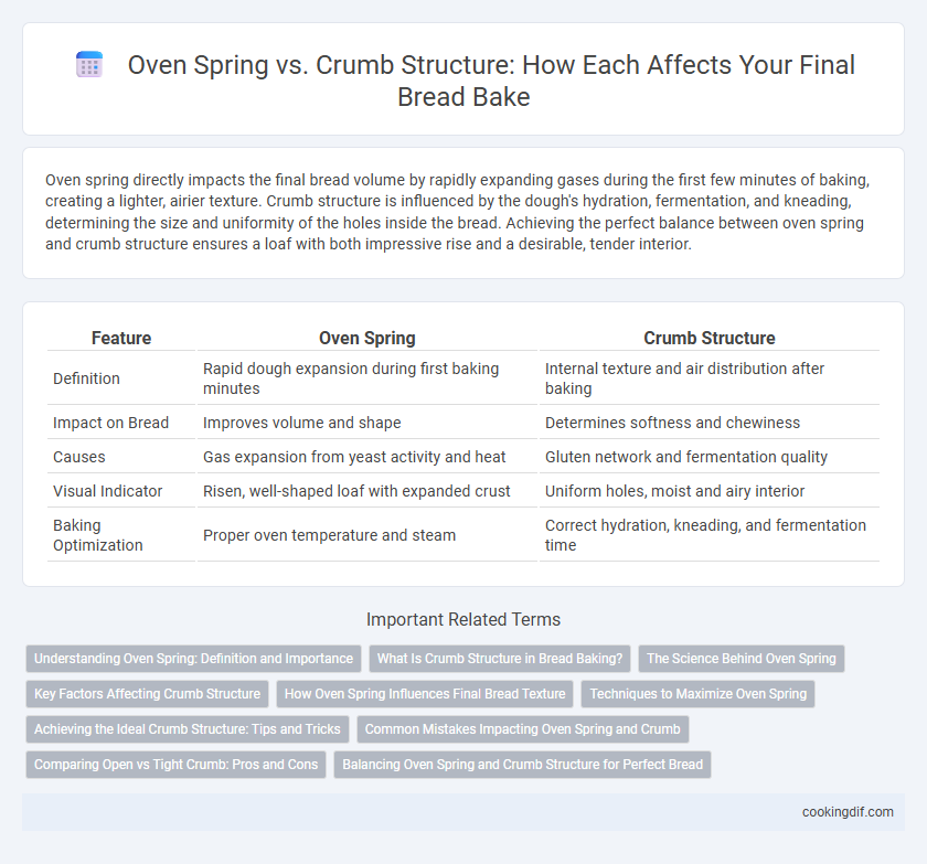 Oven Spring vs. Crumb Structure: How Each Affects Your Final Bread Bake