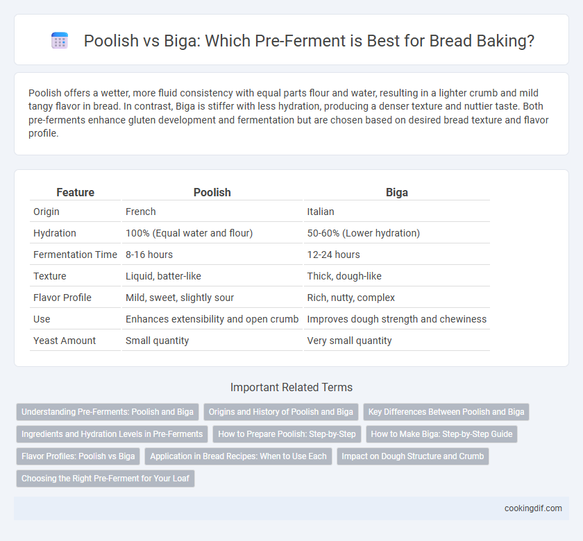 Poolish vs Biga: Which Pre-Ferment is Best for Bread Baking?