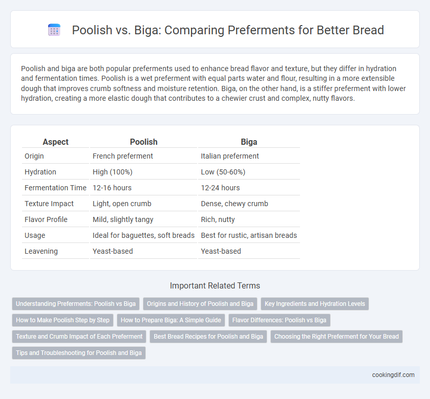 Poolish vs. Biga: Comparing Preferments for Better Bread