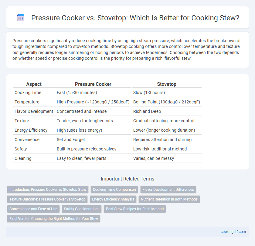 Pressure Cooker vs. Stovetop: Which Is Better for Cooking Stew?