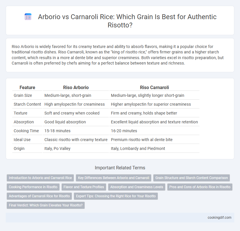 Arborio vs Carnaroli Rice: Which Grain Is Best for Authentic Risotto?