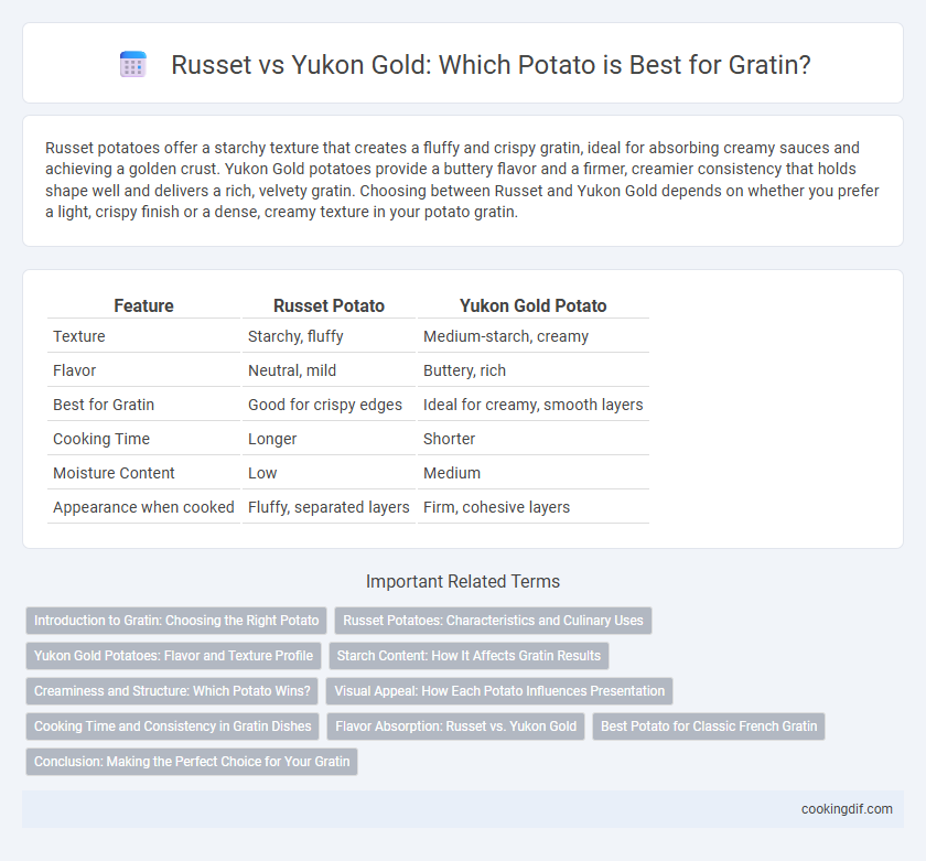 Russet vs Yukon Gold: Which Potato is Best for Gratin?