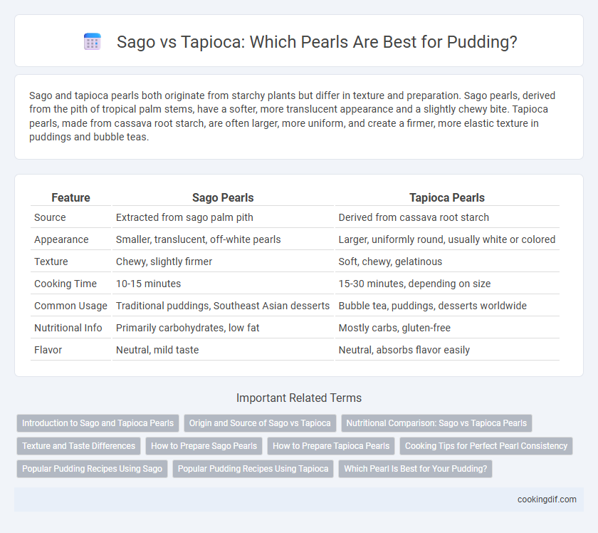 Sago vs Tapioca: Which Pearls Are Best for Pudding?