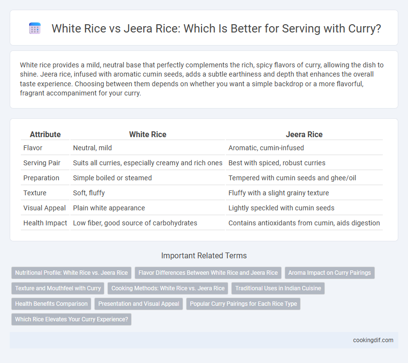White Rice vs Jeera Rice: Which Is Better for Serving with Curry?