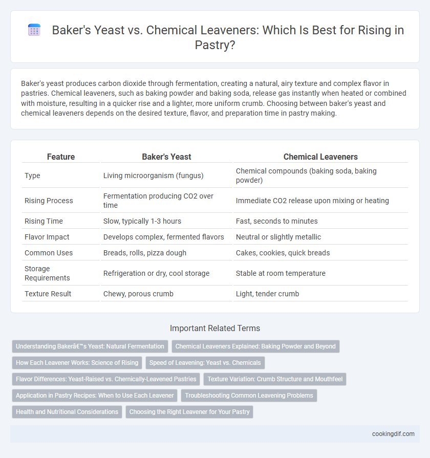 Baker's Yeast vs. Chemical Leaveners: Which Is Best for Rising in Pastry?