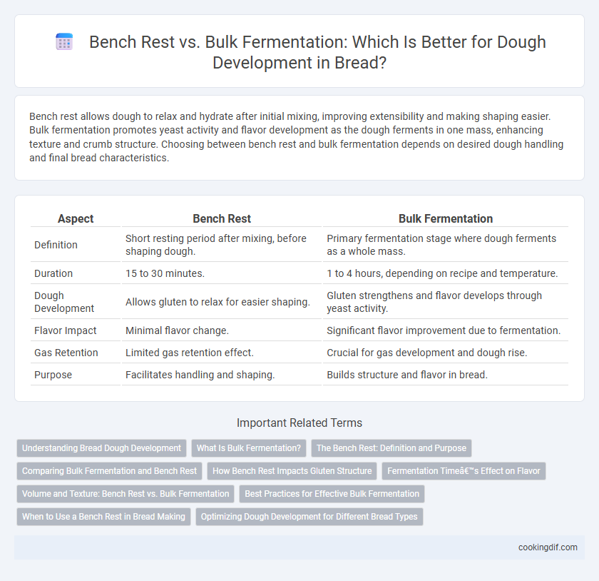 Bench Rest vs. Bulk Fermentation: Which Is Better for Dough Development in Bread?