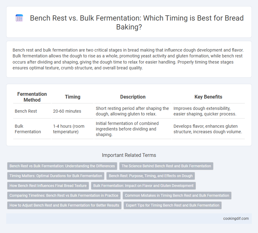 Bench Rest vs. Bulk Fermentation: Which Timing is Best for Bread Baking?