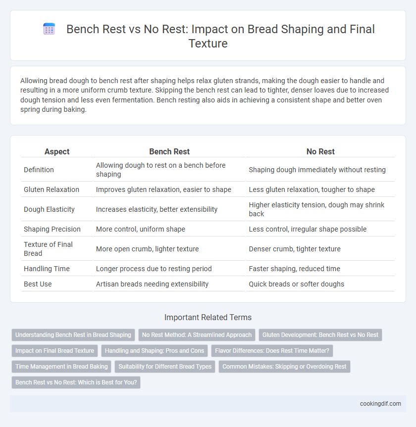 Bench Rest vs No Rest: Impact on Bread Shaping and Final Texture