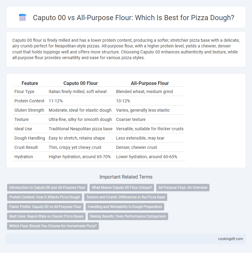 Caputo 00 vs All-Purpose Flour: Which Is Best for Pizza Dough?