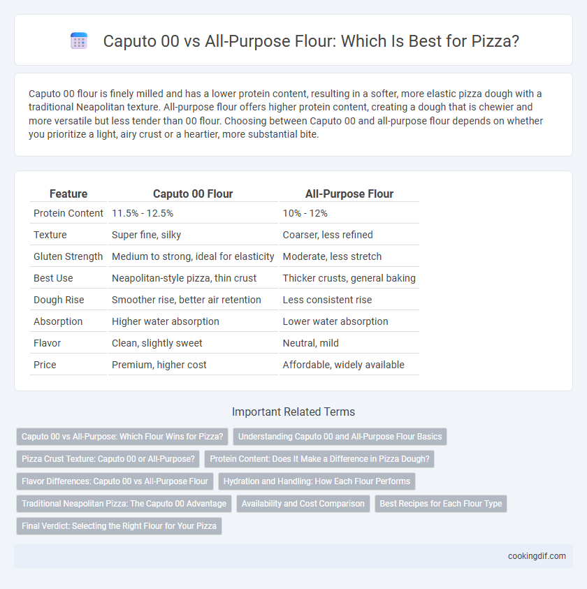 Caputo 00 vs All-Purpose Flour: Which Is Best for Pizza?