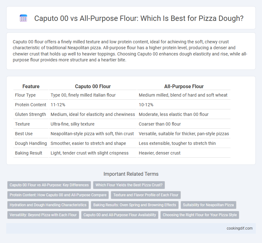 Caputo 00 vs All-Purpose Flour: Which Is Best for Pizza Dough?