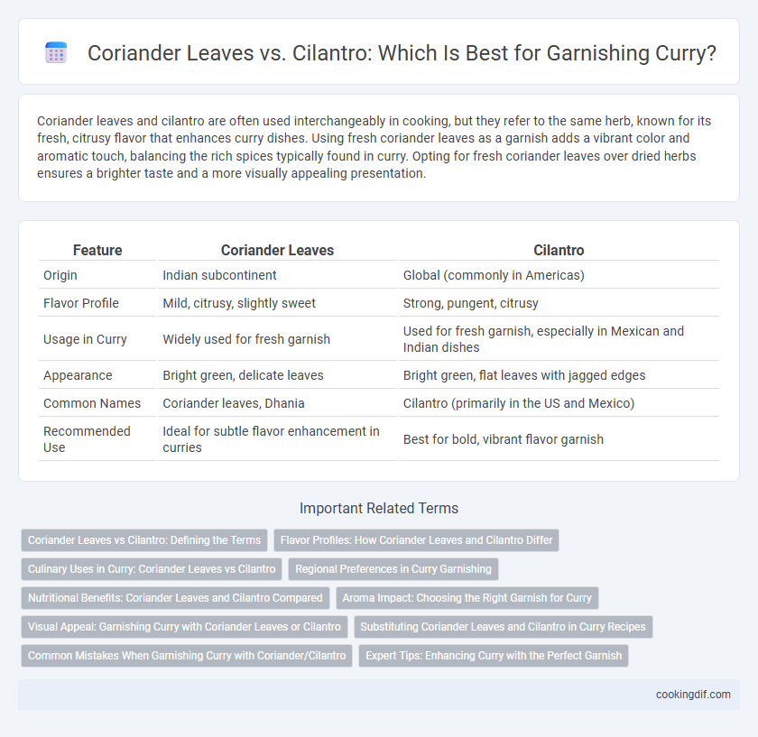 Coriander Leaves vs. Cilantro: Which Is Best for Garnishing Curry?