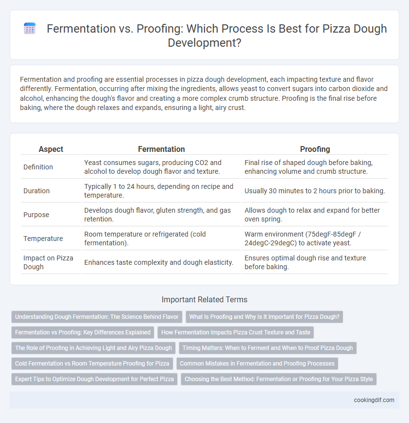 Fermentation vs. Proofing: Which Process Is Best for Pizza Dough Development?