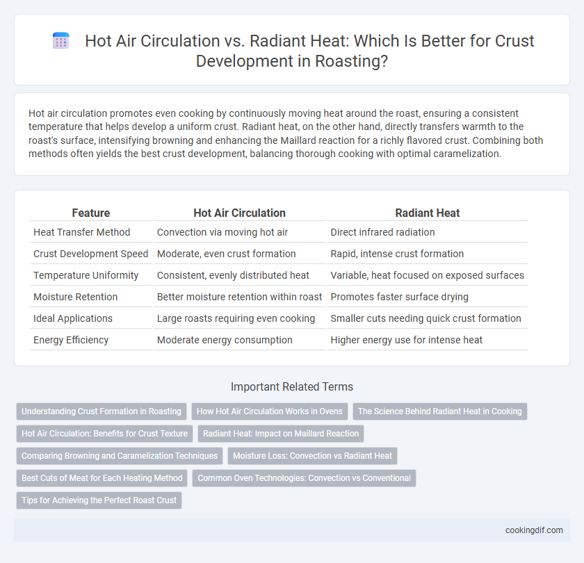 Hot Air Circulation vs. Radiant Heat: Which Is Better for Crust Development in Roasting?