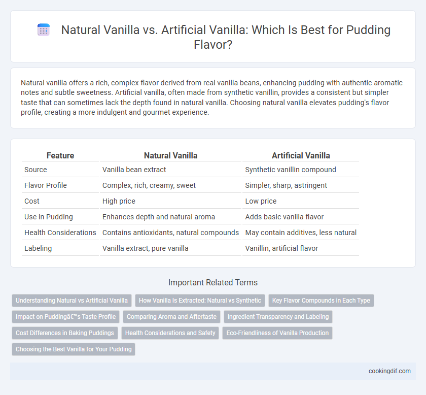 Natural Vanilla vs. Artificial Vanilla: Which Is Best for Pudding Flavor?